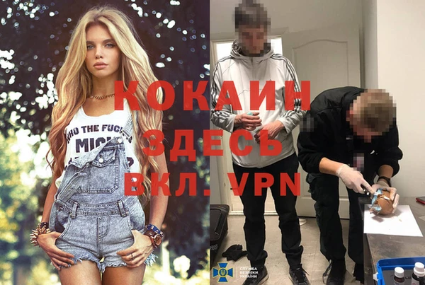 твердый Аркадак