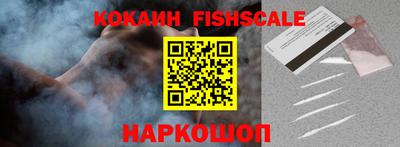 крисы Партизанск