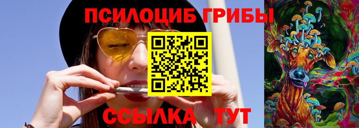 Якутск  Галлюциногенные грибы Psilocybine cubensis  Вход с VPN 