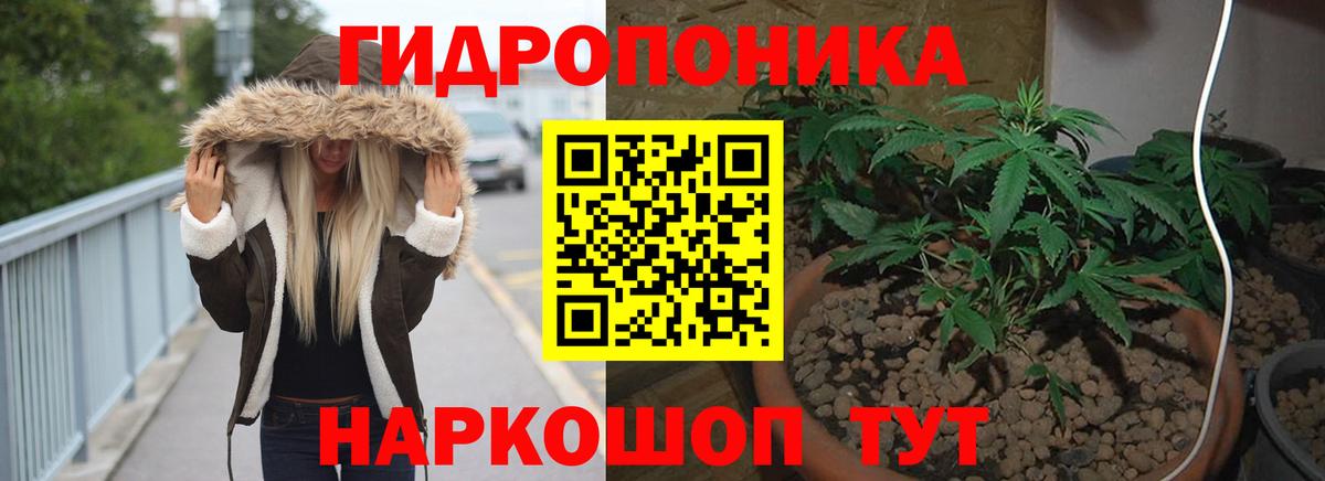 Конопля OG Kush Якутск